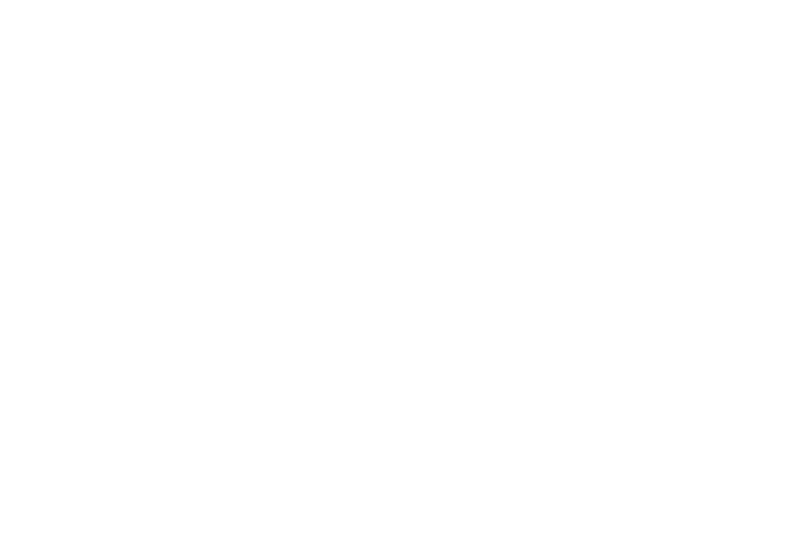 Google Image Search Logo