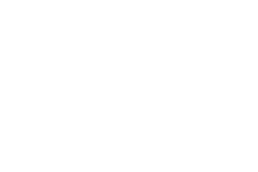 Vidsplay Logo