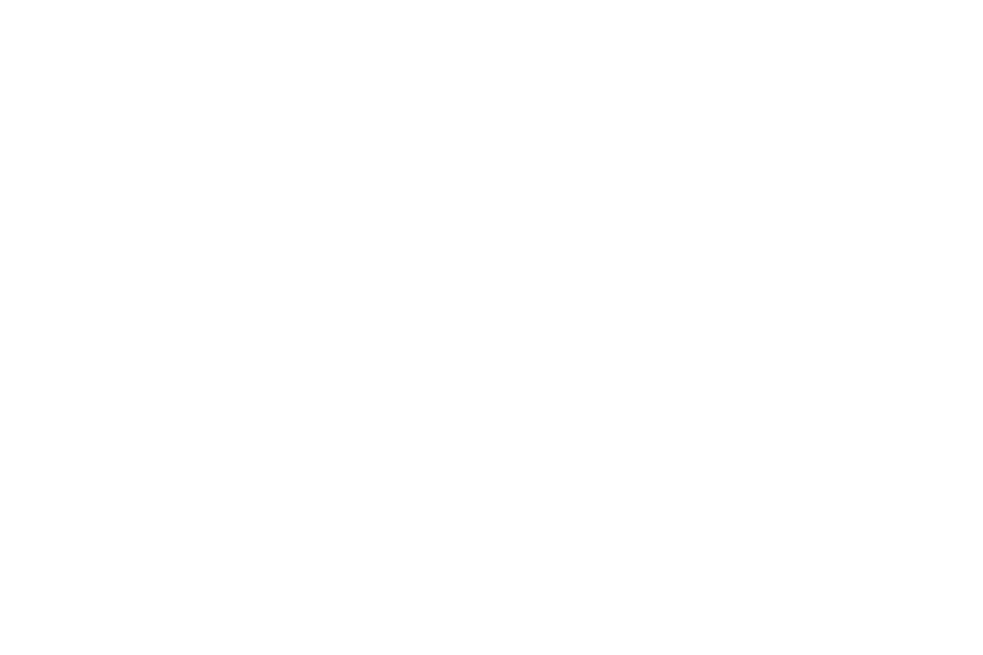 ZBrushCoreMini Logo